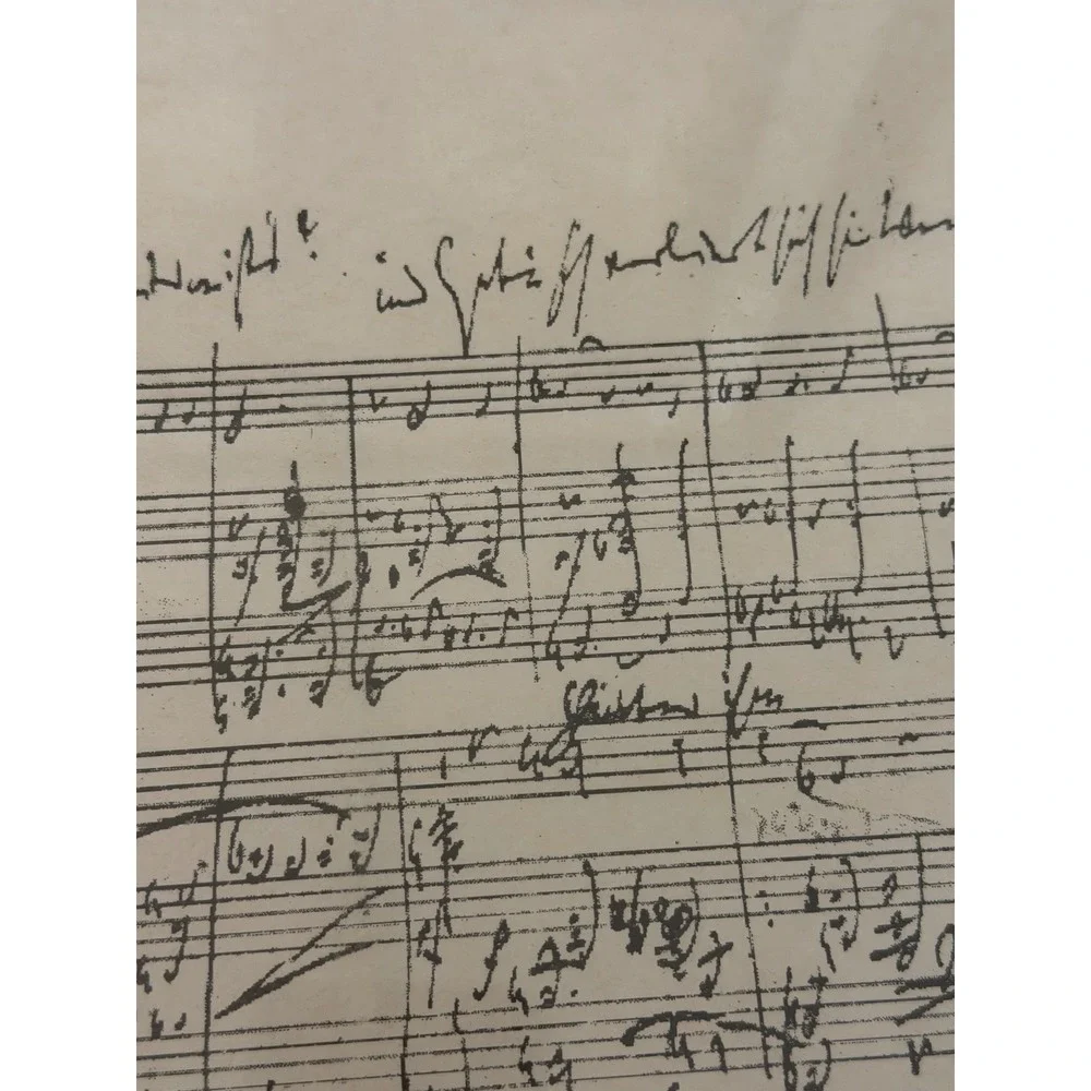 Vintage Framed Handwritten Sheet Music Manuscript Print Brass Frame 12x17